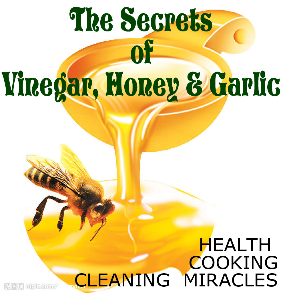HONEY, VINEGAR & GARLIC MAGIC Secret Healing Properties eBooks Food