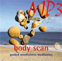 Long Body Scan - Digital Download