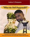 book - short story - what the hell happened?