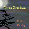 Crickets Calming Sleep - Digital Download