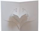gladiola - easycutpopup