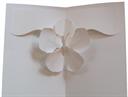hibiscus - easycutpopup
