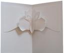 iris - easycutpopup