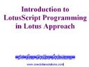 EDITABLE LotusScript Programming for Lotus Approach 9.5 - Digital Download