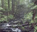 meditation brook 1 hr download