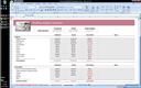 Wedding Planner Excel Spreadsheet | Business | Download