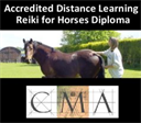 reiki for horses accredited distance learning {printed}