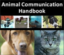 animal communication handbook