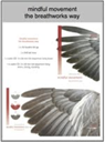 Mindful Movement Videos - Digital Download