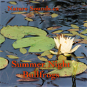 Summer Night Bullfrogs - Digital Download