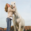 How to Talk to Your Horse: The Body Scan - Part 1 - Digital Download