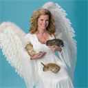 How to Connect to a Photo & Heaven - Digital Download