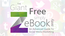 an advanced guide to social media marketing