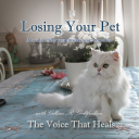 Losing your pet - Digital Download