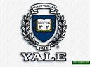 tariq nasheed yale lecture