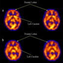 Neurotheology - Digital Download
