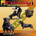 Issue 1 of 2008 - Digital Download
