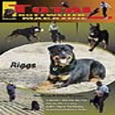 Issue 1 of 2009 - Digital Download