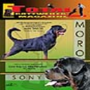 Issue 3 of 2009 - Digital Download