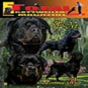 Issue 4 of 2011 - Digital Download