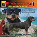 Issue 3 of 2011 - Digital Download
