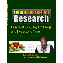 LIVING SUPERFOOD RESEARCH - Don't Get Sick, Stay Off Drugs, and Live a Long Time (PDF) - Digital Download