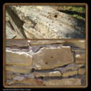 Bud Shelton's Geological Report on The Rockwall - Digital Download
