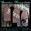 (B) 100 Senior Templates - Digital Download