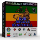 Reggae Dancehall Dub Samples – Wave Kontakt Reason Logic - Digital Download