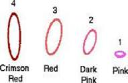 Rings_Vision.pdf - Digital Download