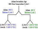 HoH_Secondary_800-Year_Age_of_Adam.pdf - Digital Download