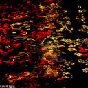 reizo shibamoto reflections