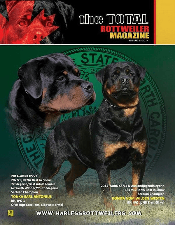Issue 3 of 2014 - Digital Download