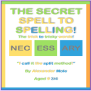 Secret Spell To Spelling PDF Download - Digital Download