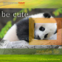Made To Be Cute - Digital Download
