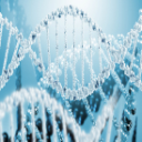 crystalline dna