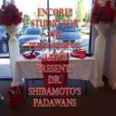 Dr. Shibamoto's Padawans - Digital Download