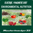 Electric / Magnetic Diet - Digital Download