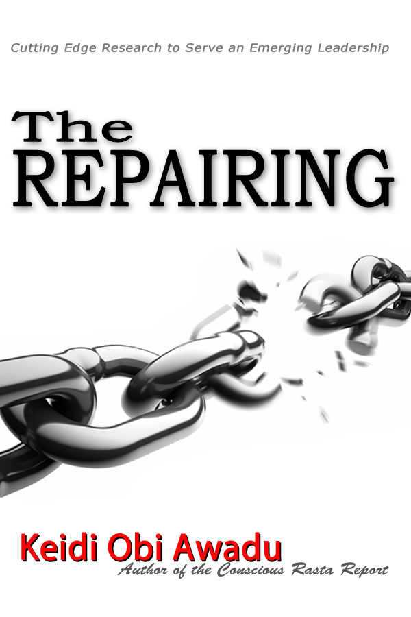 The Repairing E-Book PDF - Digital Download