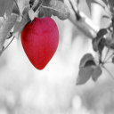 attracting love