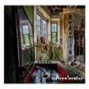 reaction - accelerator - lp