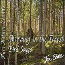 Morning in the Forest  Bird Songs - Digital Download