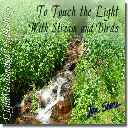 To Touch the Light with Stream and Birds Side 1 - Digital Download