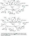 Sumerian_6_Sign_Zodiac_and Mayan_Calendar_360_Day-Tun-Years.pdf - Digital Download