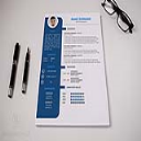 professional resume template