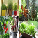 how to do indoor gardening grow garden planting for every week of the year ebook