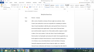 Real estate essay