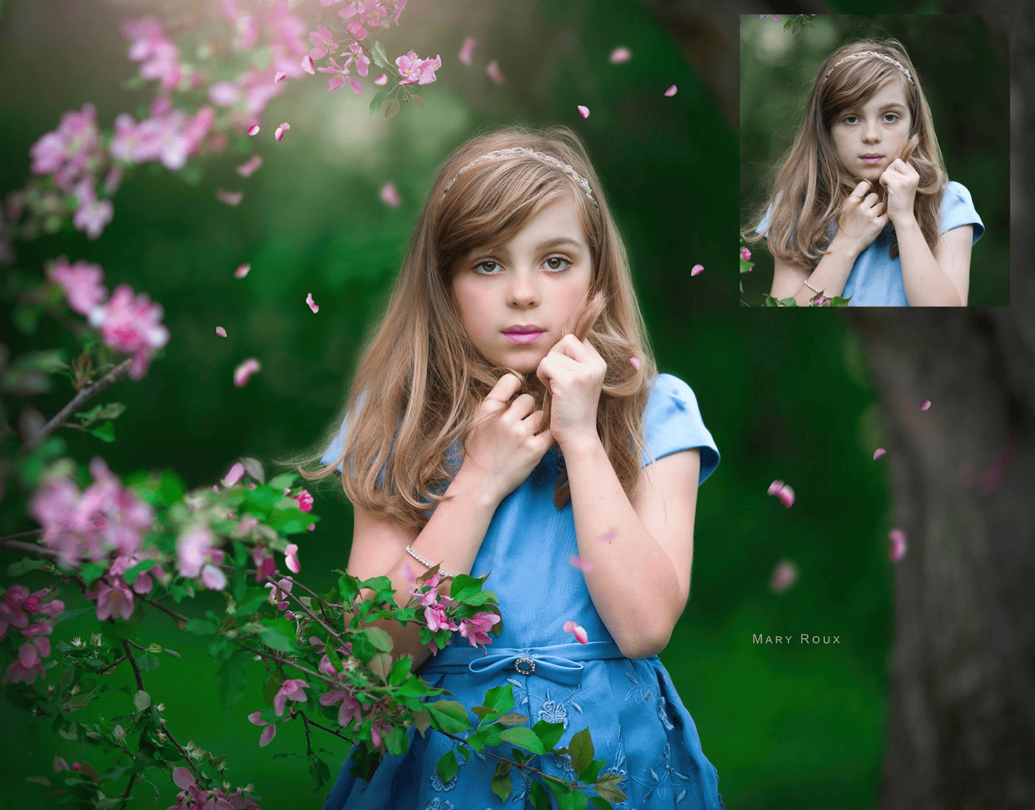 Let It Snow/Botanical Overlays - Digital Download