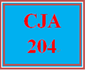 Police rankings in order picture