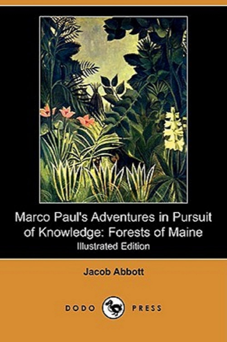 Forests of Maine - Additional View 2